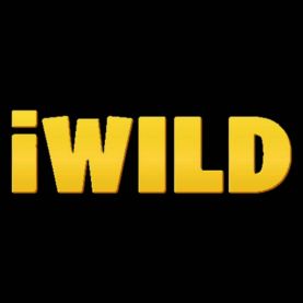 iWild casino